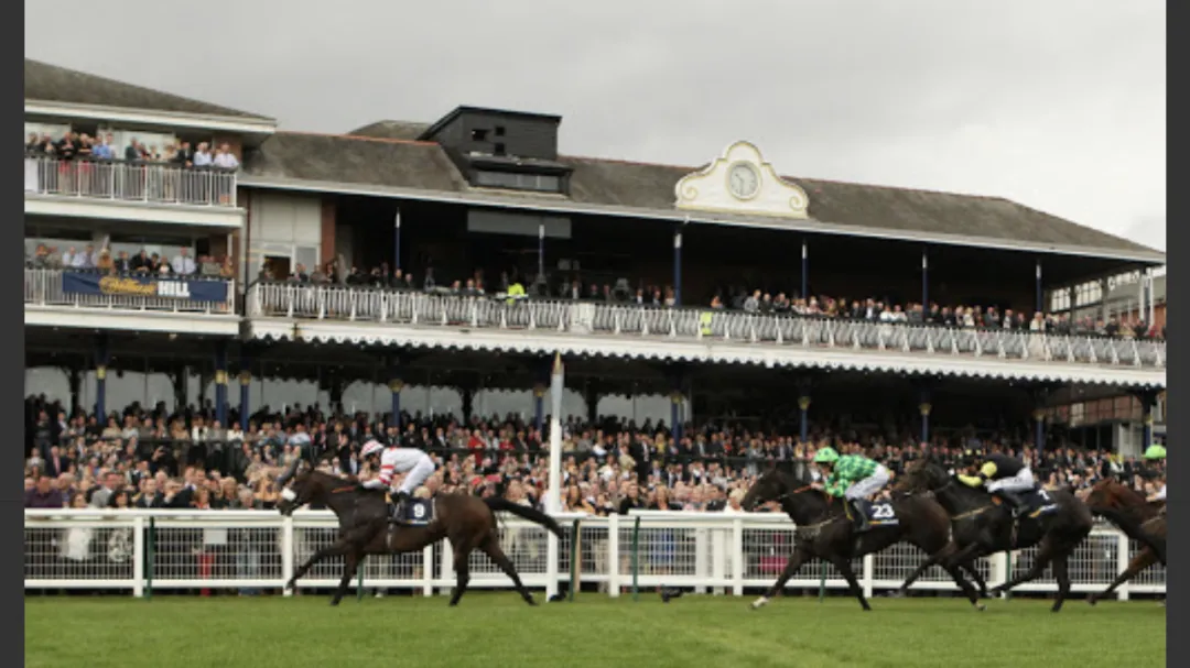 Image Of Finish Line